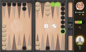 Online Tavla Nasıl Oynanır?